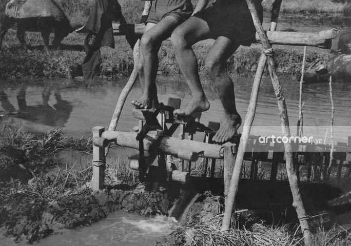 Nha Trang xưa - "Dẫn thủy nhập điền" bằng guồng đạp nước - Irrigation by water turbines - Nha Trang - 1957