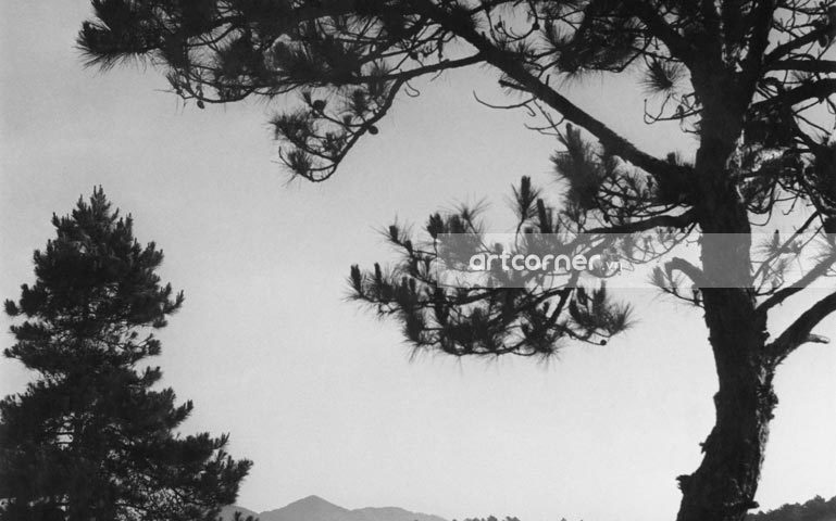 Đà Lạt xưa - Trong Màn Sương - Đà Lạt - 1959