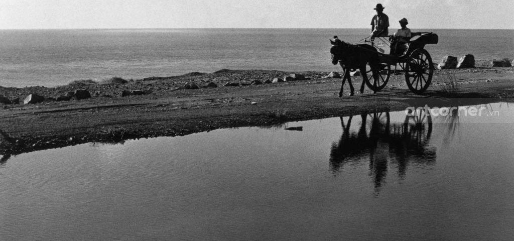 Vũng Tàu xưa - Xe ngựa xưa ở Vũng Tàu - 1965