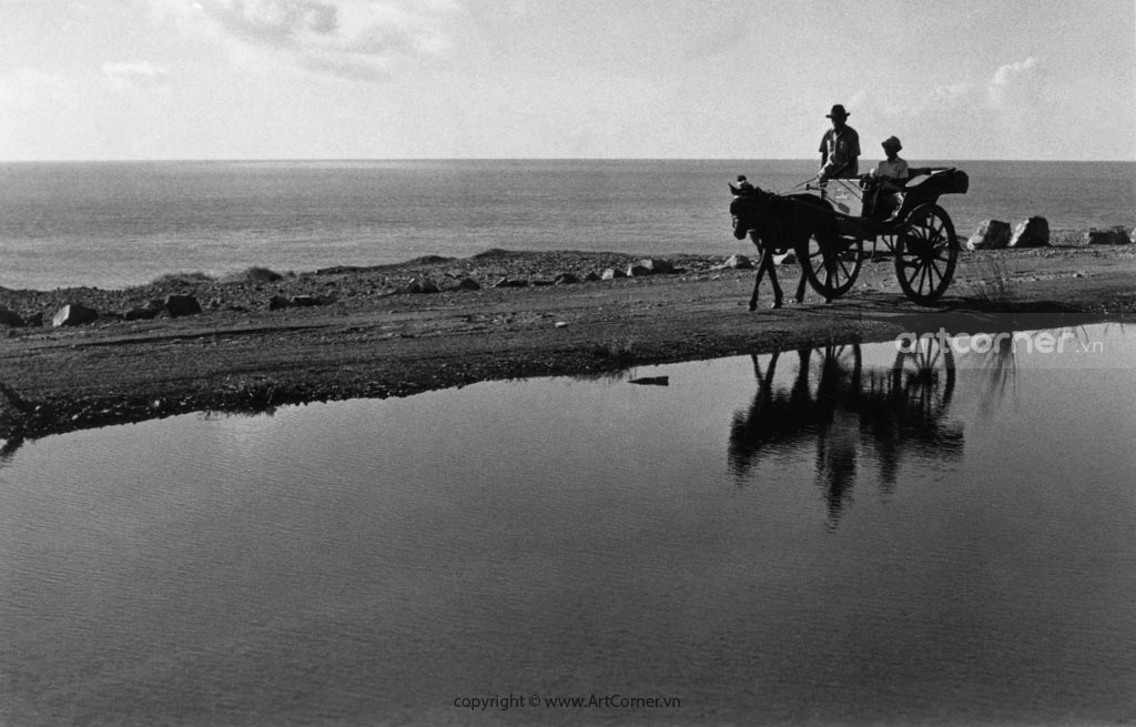 Vũng Tàu xưa - Xe ngựa xưa ở Vũng Tàu - 1965
