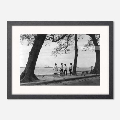 Toàn cảnh Bãi Trước Vũng Tàu 1965 khung đen - Biểu tượng du lịch Vũng Tàu xưa