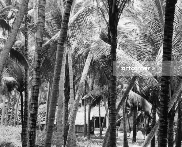 Nha Trang xưa - Đi học - Way to school - Nha Trang - 1962
