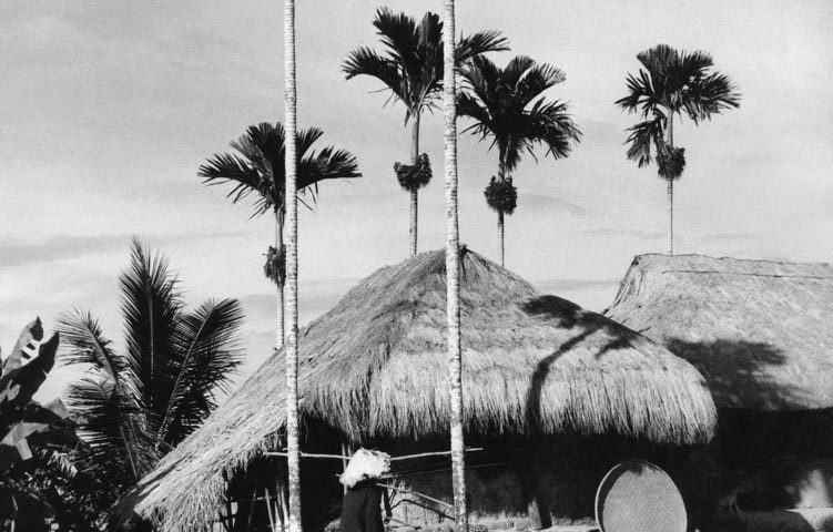 Nha Trang xưa - Quê Việt - Việt Nam countryside - Nha Trang - 1960