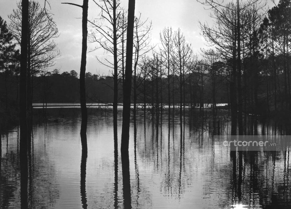 Đà Lạt xưa - Thung lũng Tình yêu - Valley of Love - Đà Lạt - 1962