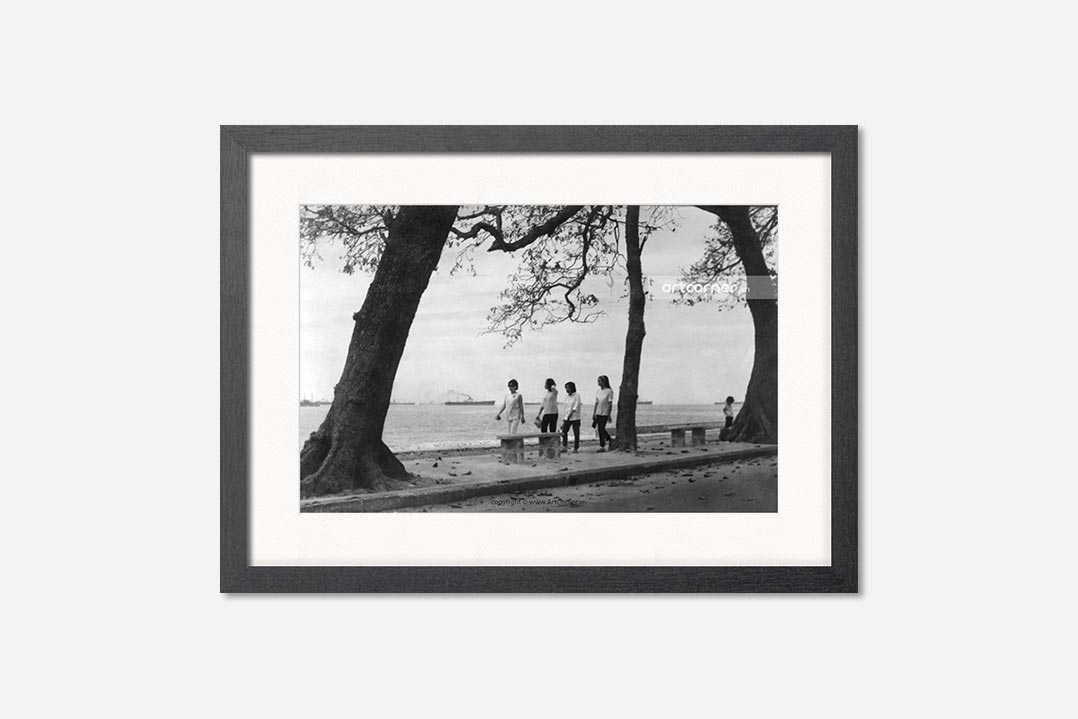 Toàn cảnh Bãi Trước Vũng Tàu 1965 khung đen - Biểu tượng du lịch Vũng Tàu xưa