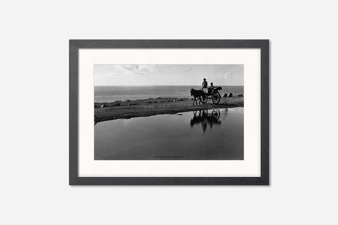 Toàn cảnh xe ngựa Vũng Tàu 1965 khung đen - Biểu tượng Vũng Tàu xưa